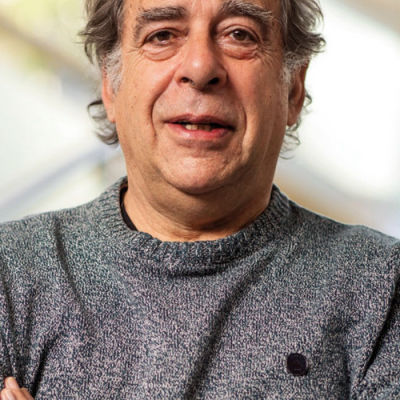 joao-lagarto